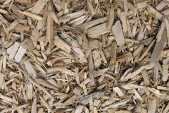 biomass boilers Hallsands